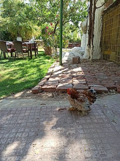 Yorum fotoğrafı 5