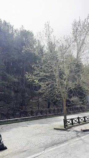 Yorum fotoğrafı 8