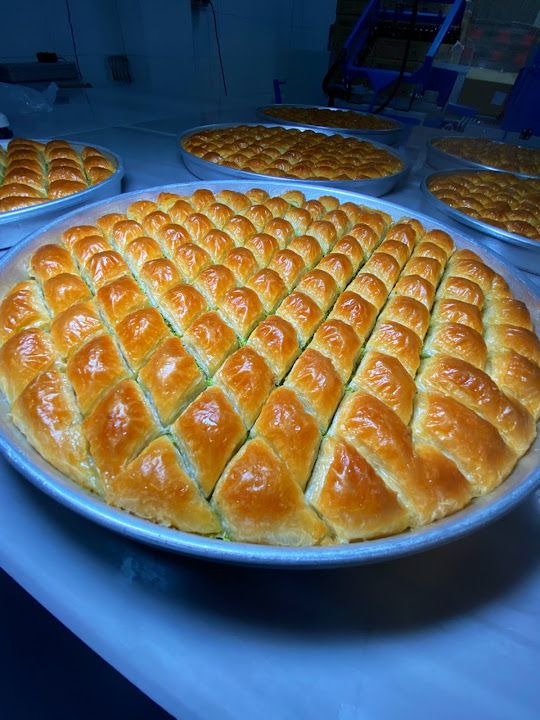 Fotoğraf 19