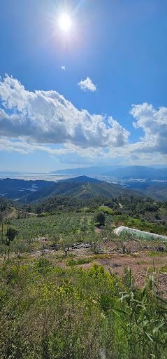 Yorum fotoğrafı 3