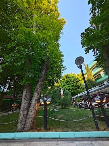 Fotoğraf 14