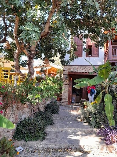 Yorum fotoğrafı 3
