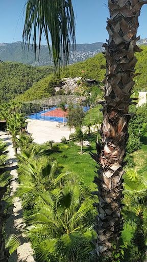 Yorum fotoğrafı 8