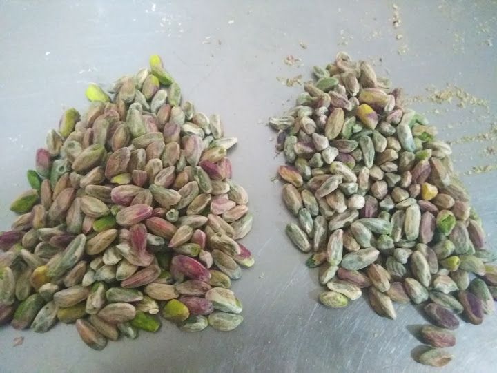 Fotoğraf 16