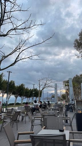 Fotoğraf 19