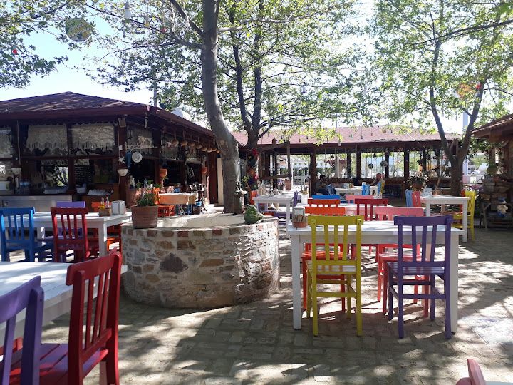 Fotoğraf 31