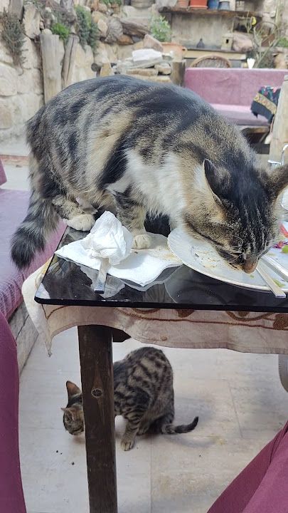 Fotoğraf 21