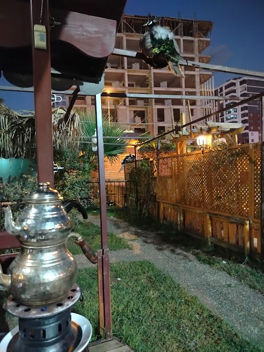 Yorum fotoğrafı 4