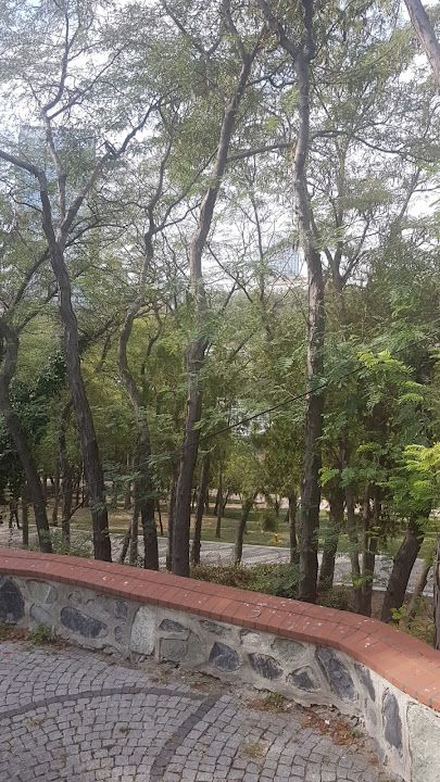 Fotoğraf 58