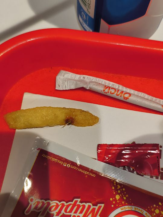 Fotoğraf 23