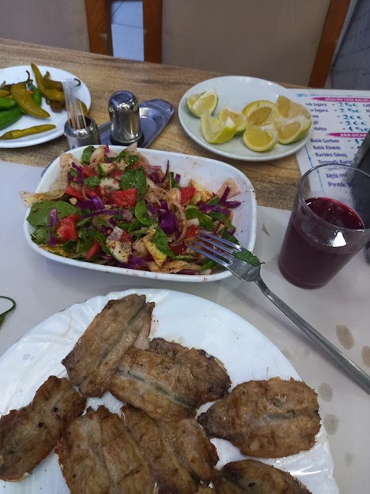 Yorum fotoğrafı 1