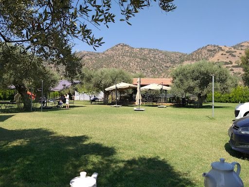 Fotoğraf 14