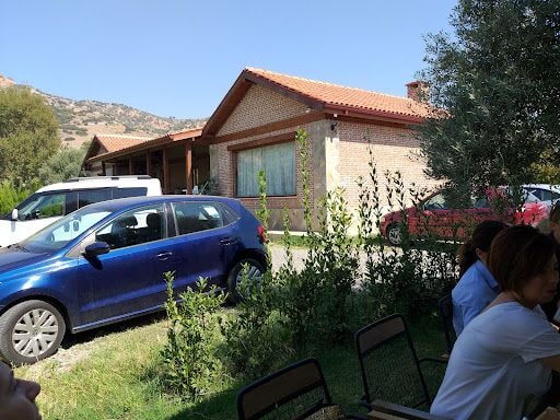 Fotoğraf 15