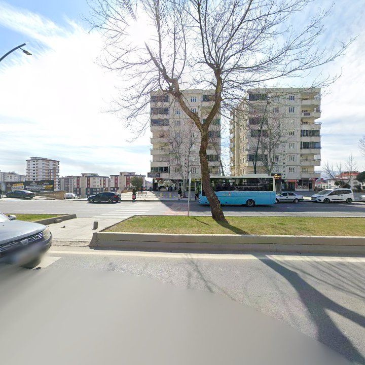 Fotoğraf 8