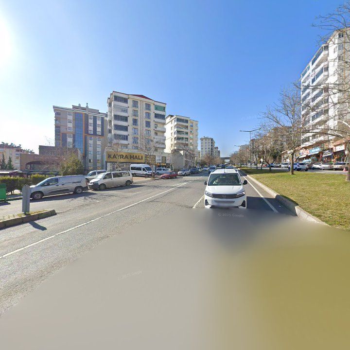 Fotoğraf 16