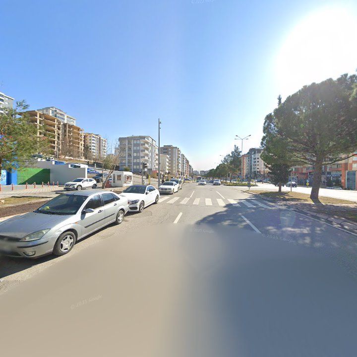 Fotoğraf 10
