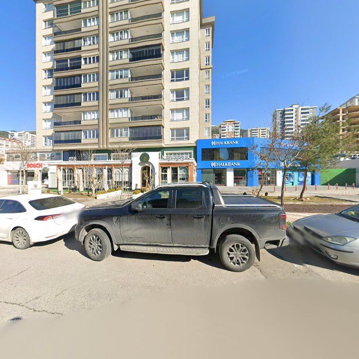 Fotoğraf 9