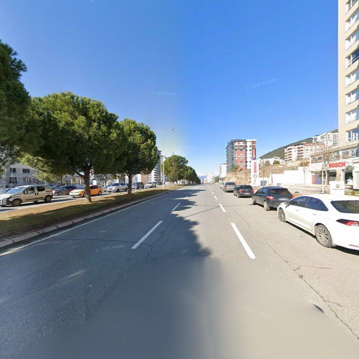 Fotoğraf 12