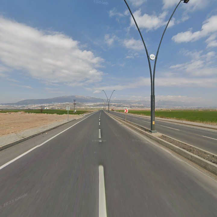 Fotoğraf 7