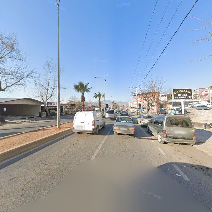 Fotoğraf 7