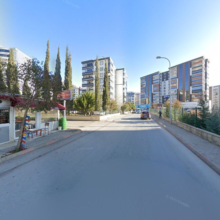 Fotoğraf 7