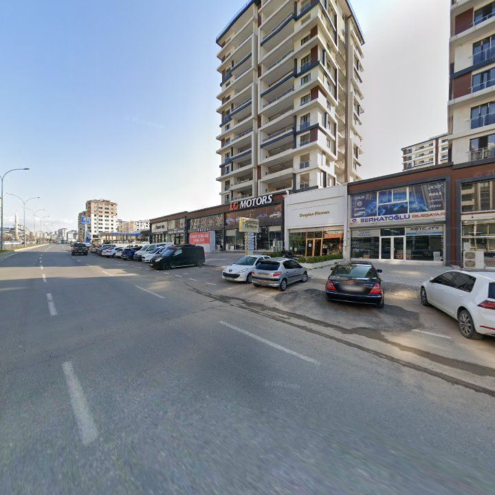 Fotoğraf 11