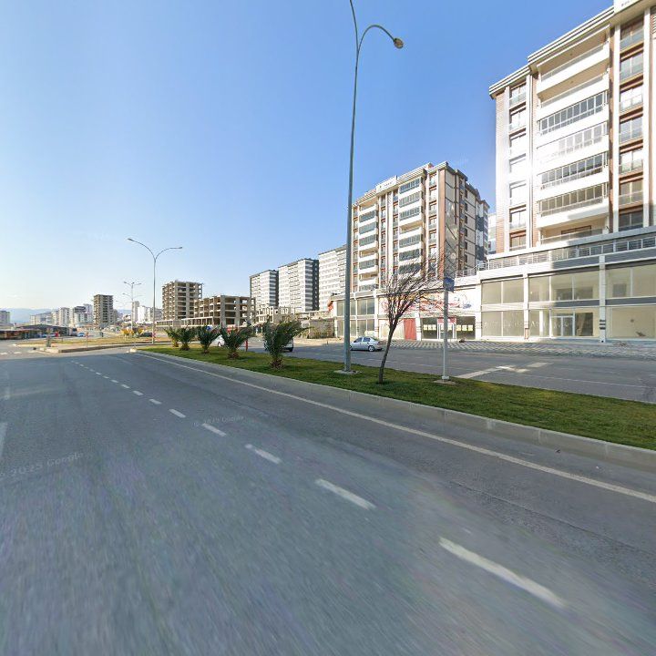 Fotoğraf 9