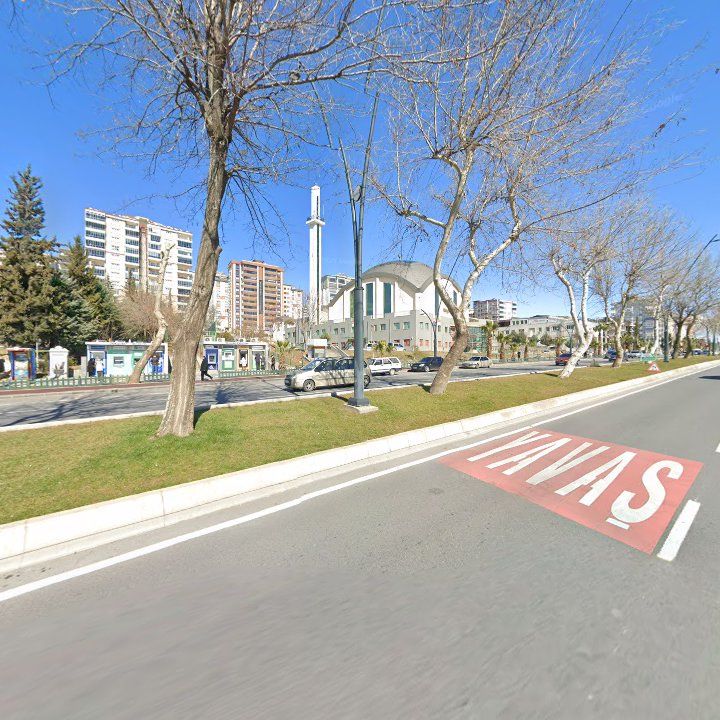 Fotoğraf 8
