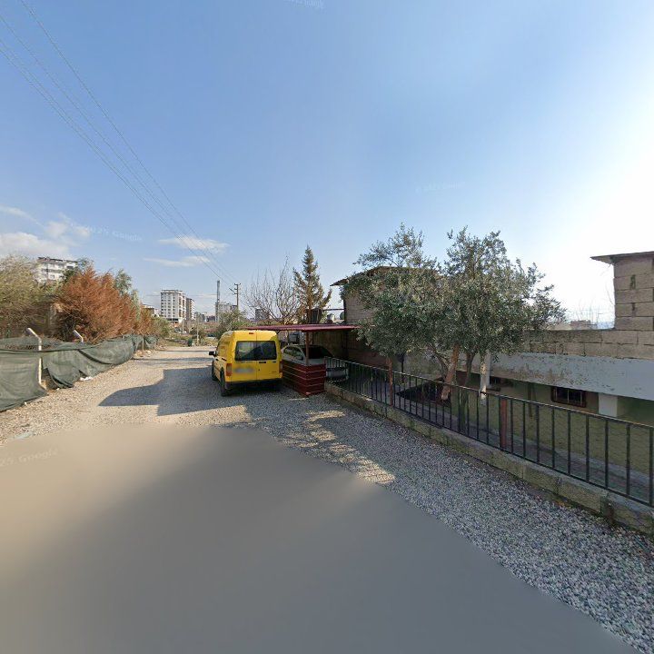 Fotoğraf 6