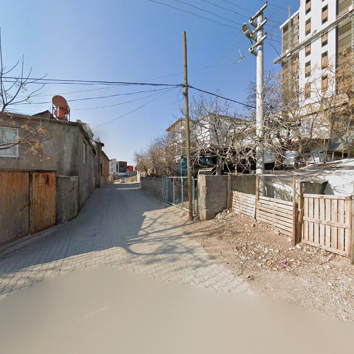 Fotoğraf 8