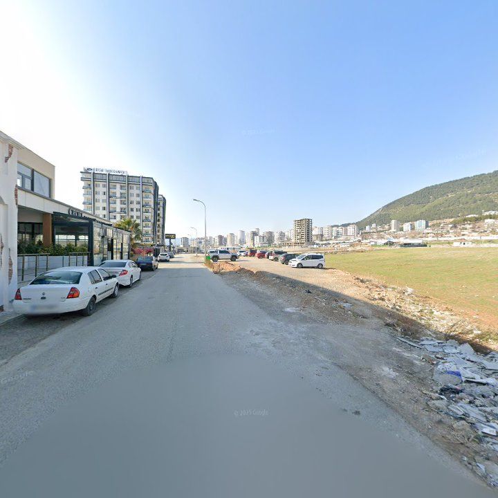 Fotoğraf 10