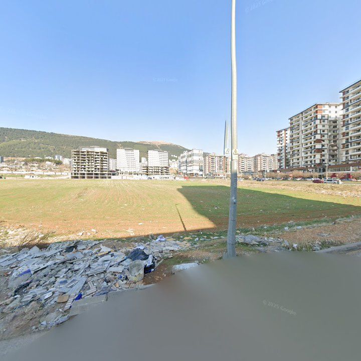 Fotoğraf 11