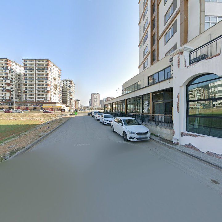 Fotoğraf 12