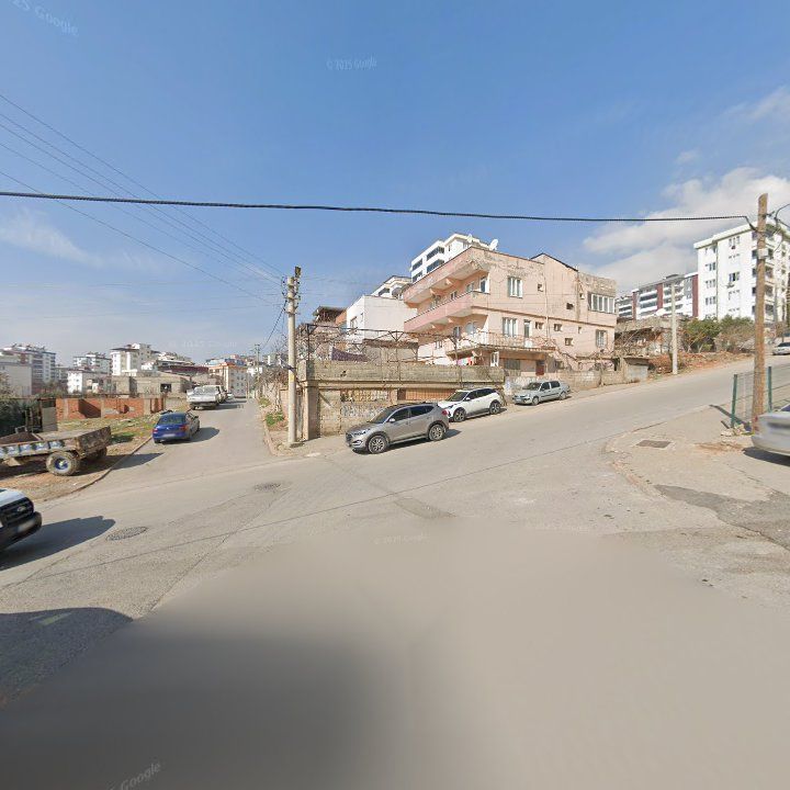 Fotoğraf 10