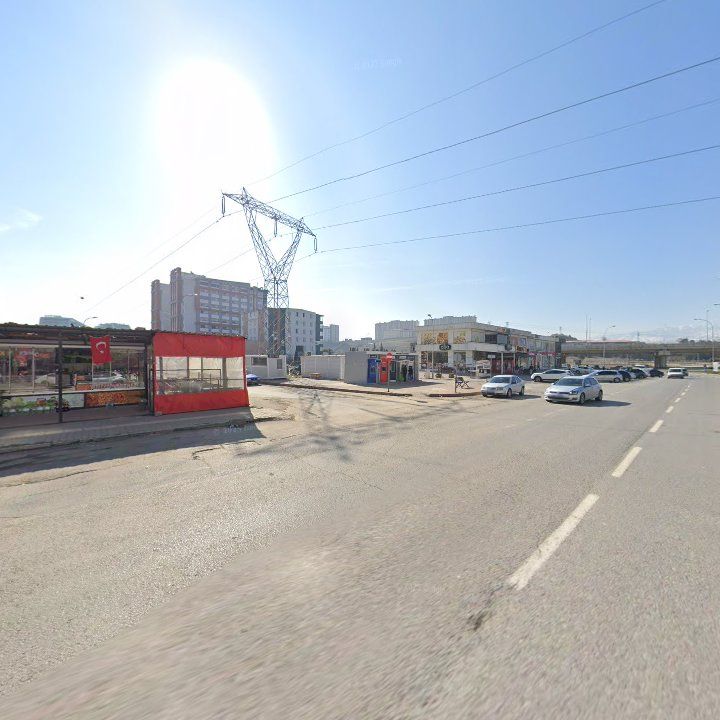 Fotoğraf 10