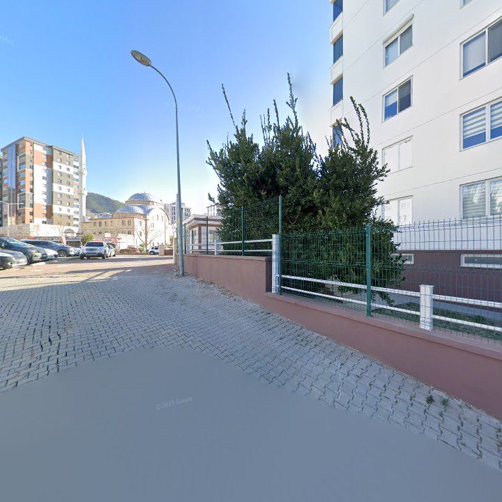 Fotoğraf 10