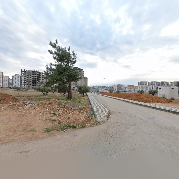 Fotoğraf 7