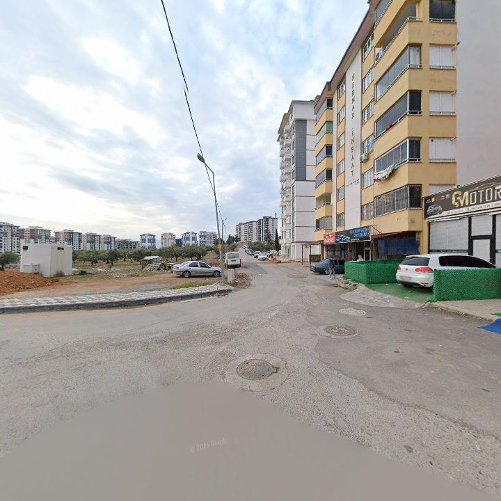 Fotoğraf 8