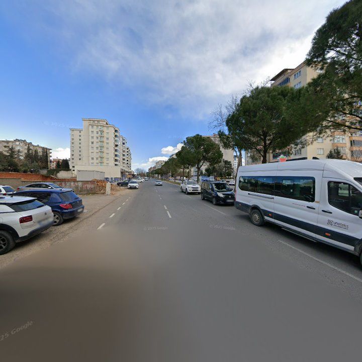 Fotoğraf 7