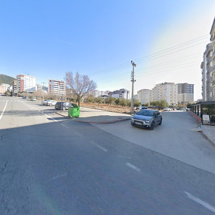 Fotoğraf 9