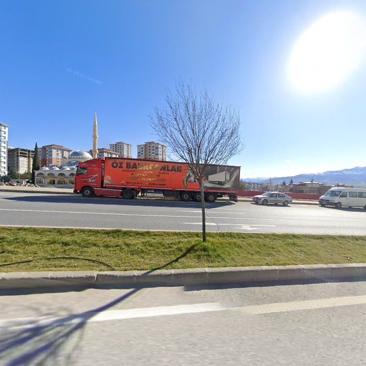 Fotoğraf 11