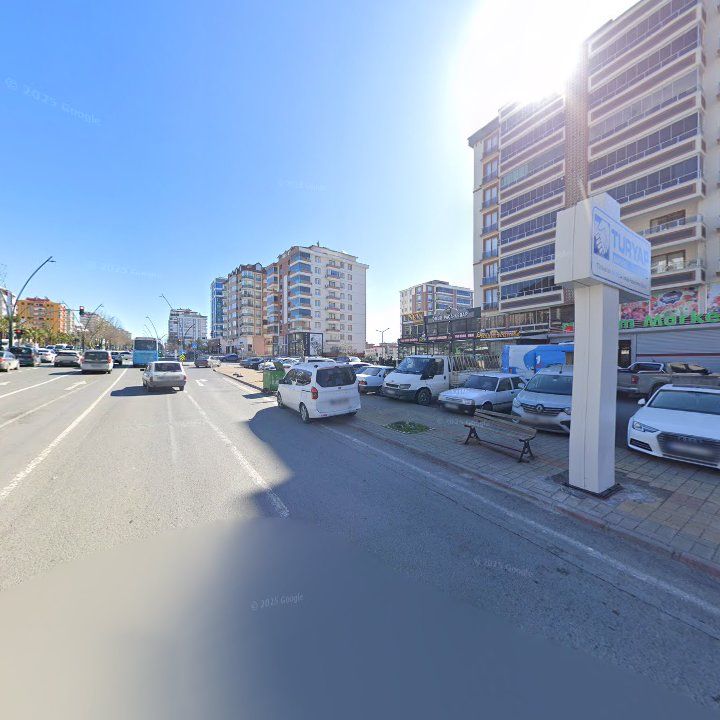Fotoğraf 11