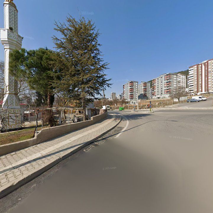 Fotoğraf 9