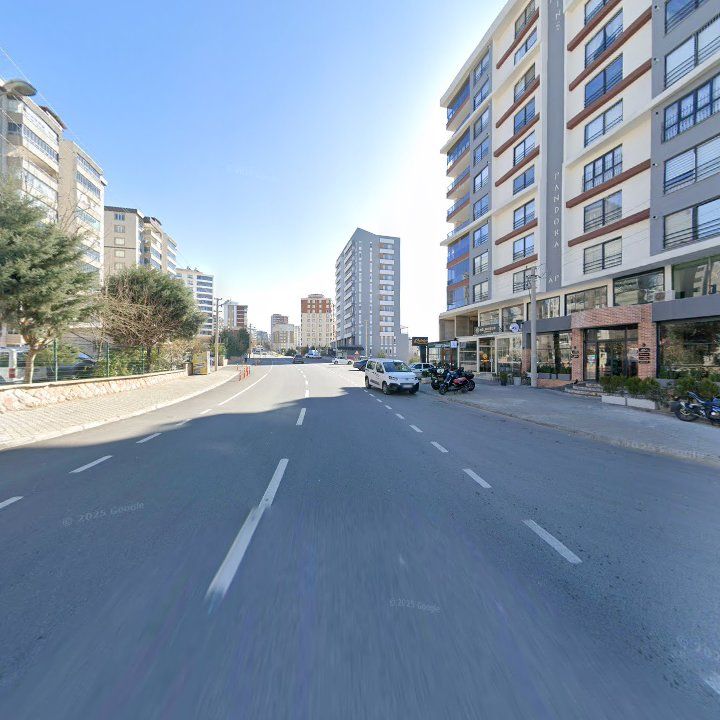 Fotoğraf 12