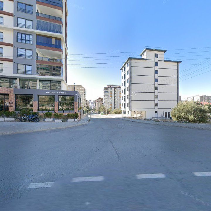 Fotoğraf 13