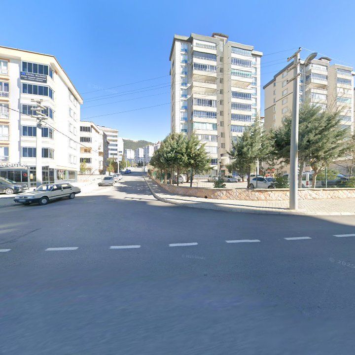 Fotoğraf 11