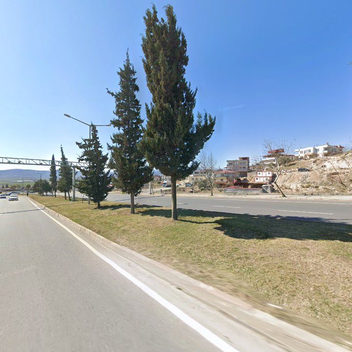 Fotoğraf 7