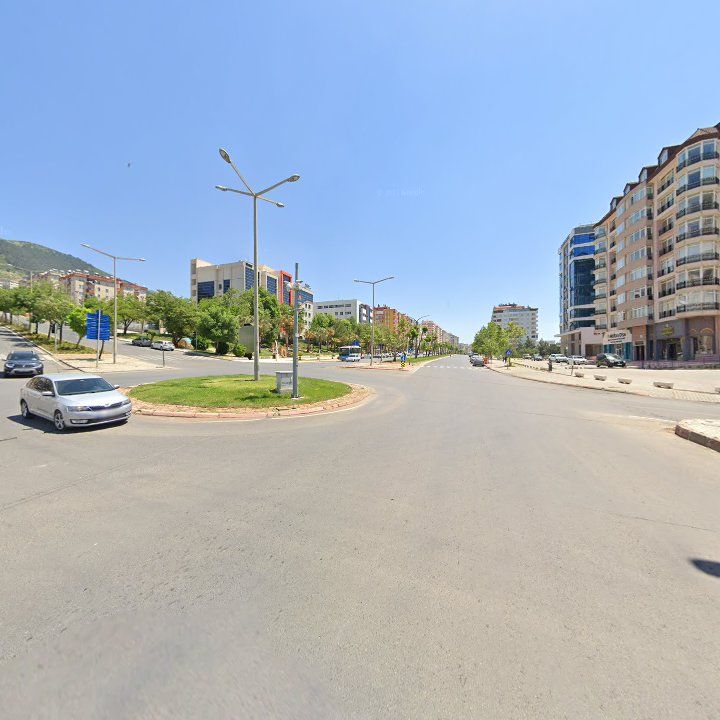 Fotoğraf 10