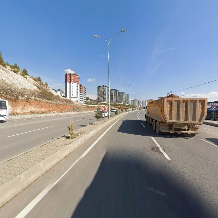 Fotoğraf 8