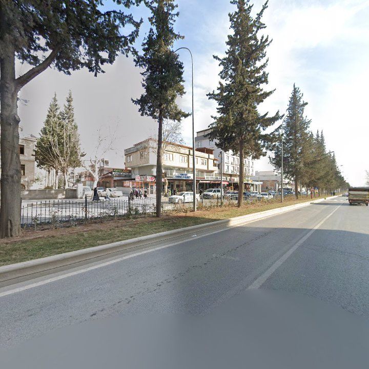 Fotoğraf 9